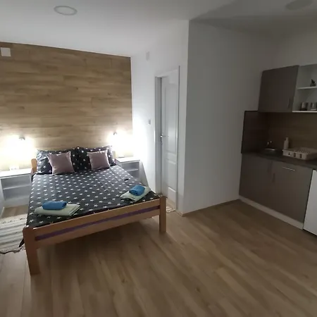 S. A. L. 2 兹雷尼亚宁