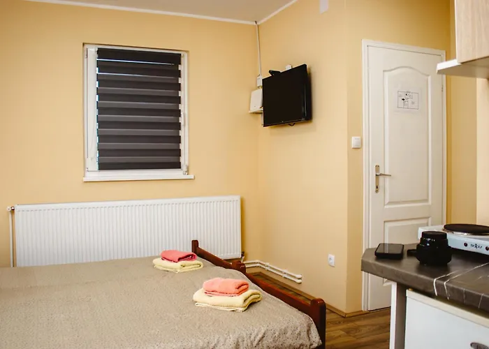 S. A. L. 2 兹雷尼亚宁