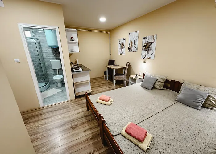 S. A. L. 2 * 兹雷尼亚宁