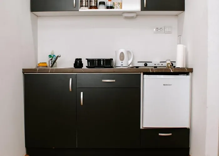 S. A. L. 2 * 兹雷尼亚宁