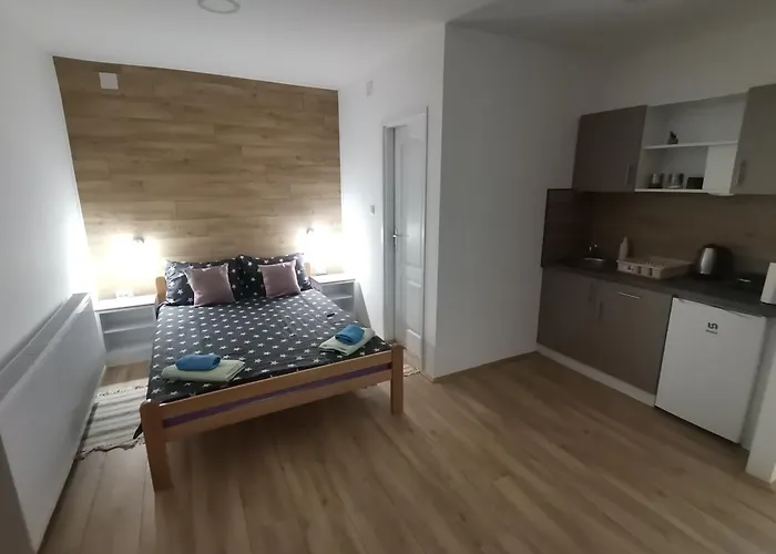 S. A. L. 2 兹雷尼亚宁