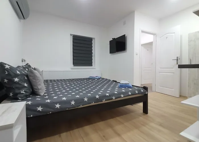 S. A. L. 2 兹雷尼亚宁